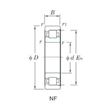 ตลับลูกปืน NF311 KOYO