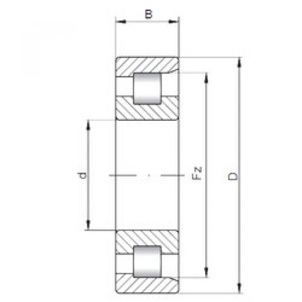 ตลับลูกปืน NF209 E CX #1 image