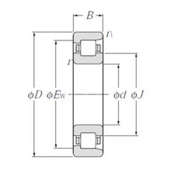 ตลับลูกปืน NF310 CYSD #1 image