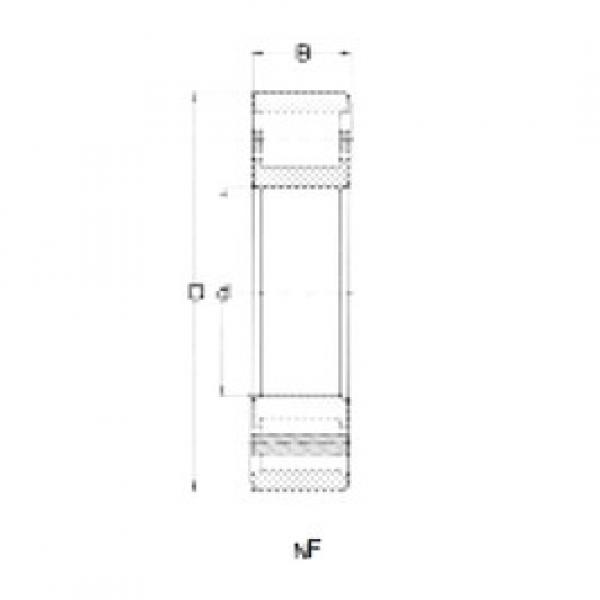 ตลับลูกปืน NF226 CRAFT #1 image