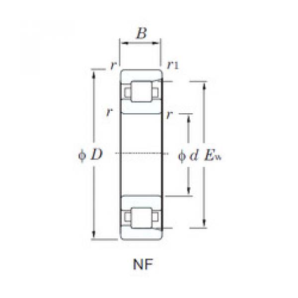 ตลับลูกปืน NF311 KOYO #1 image