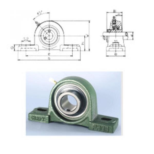 ตลับลูกปืน UCP321 CRAFT #1 image